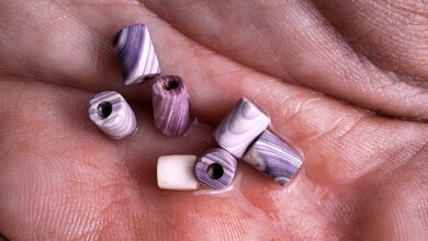 Descoberta científica revela wampum raro em colônia do século 17