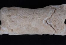 Estudo revela assobio egípcio de 3.300 anos usado por guardas