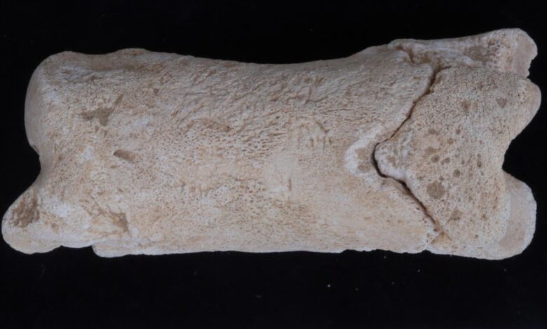 Estudo revela assobio egípcio de 3.300 anos usado por guardas