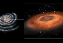 Estudo revela que estrelas feridas por buracos negros vivem mais