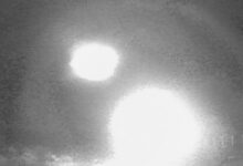 Pesquisadores analisam luzes misteriosas em floresta chilena