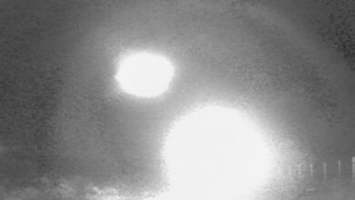 Pesquisadores analisam luzes misteriosas em floresta chilena