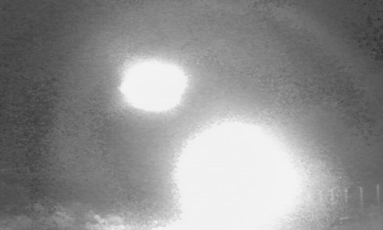 Pesquisadores analisam luzes misteriosas em floresta chilena