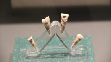 Pesquisa revela criança maia de 7 anos com dente de jade