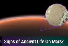 NASA investiga vida em Marte com rover Perseverance