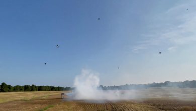 AI melhora monitoramento de fumaça de incêndios florestais