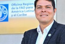 Ministério da Saúde intensifica ações contra gripe aviária