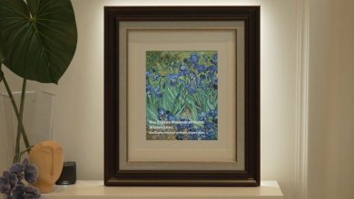 AuraFrame une arte de galeria ao design moderno de áudio