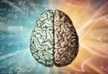 Estudo liga autismo à evolução da inteligência humana
