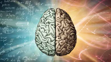 Estudo liga autismo à evolução da inteligência humana
