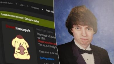 BreachForums e Conor Fitzpatrick: três anos por ataque de dados
