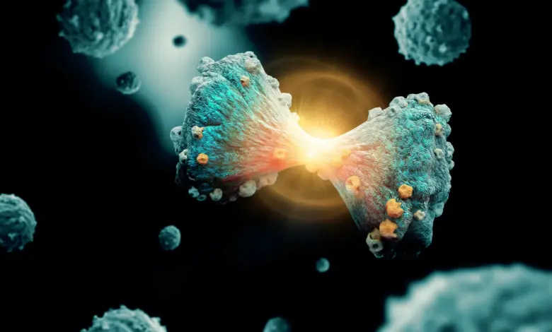 Pesquisa revela mecanismo de ferro que elimina células cancerígenas