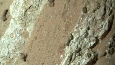 NASA identifica possíveis biossinais em estudo de Marte