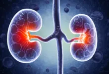 Pesquisa identifica molécula intestinal que prejudica rins