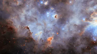 Hubble registra aglomerado estelar único, revela pesquisa