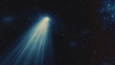 PayPal e Venmo distribuem convites para Comet e assinaturas gratuitas
