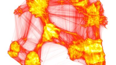 Modelos de machine learning decodificam sinais não lineares
