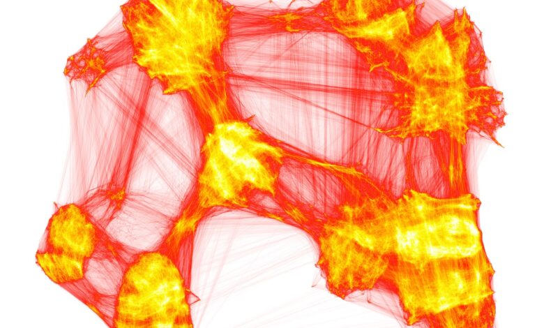 Modelos de machine learning decodificam sinais não lineares
