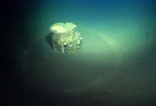 Cientistas elucidam halos fantasmas em pesquisa marinha