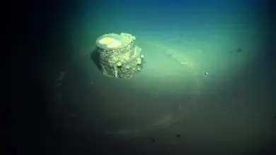 Cientistas elucidam halos fantasmas em pesquisa marinha