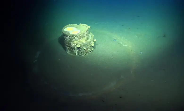 Cientistas elucidam halos fantasmas em pesquisa marinha