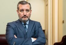 Ted Cruz busca proteger empresas de AI contra regulações