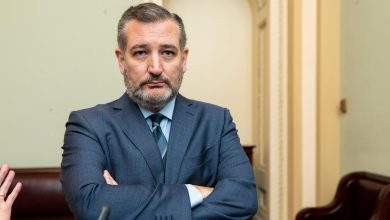 Ted Cruz busca proteger empresas de AI contra regulações