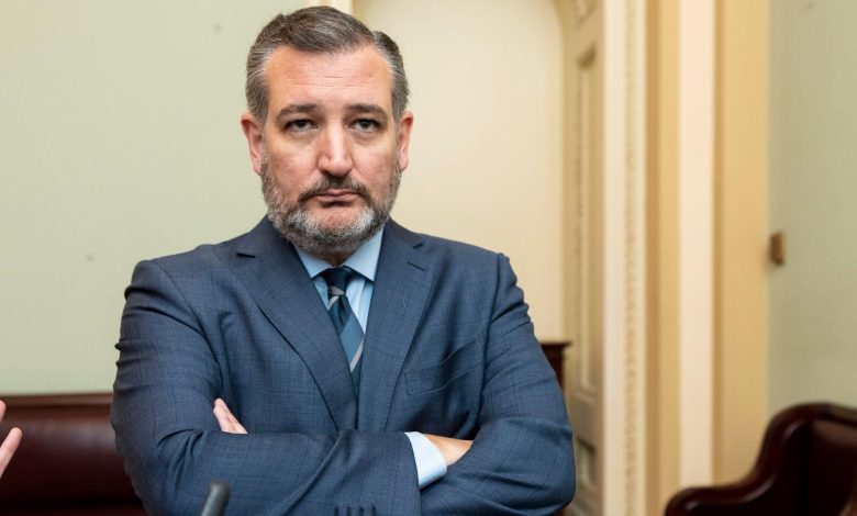 Ted Cruz busca proteger empresas de AI contra regulações