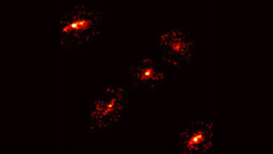Cientistas identificam Einstein cross raro em pesquisa astronômica