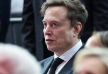 Competidor da Wikipedia de Elon Musk promete desastre na cultura
