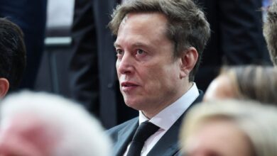 Competidor da Wikipedia de Elon Musk promete desastre na cultura