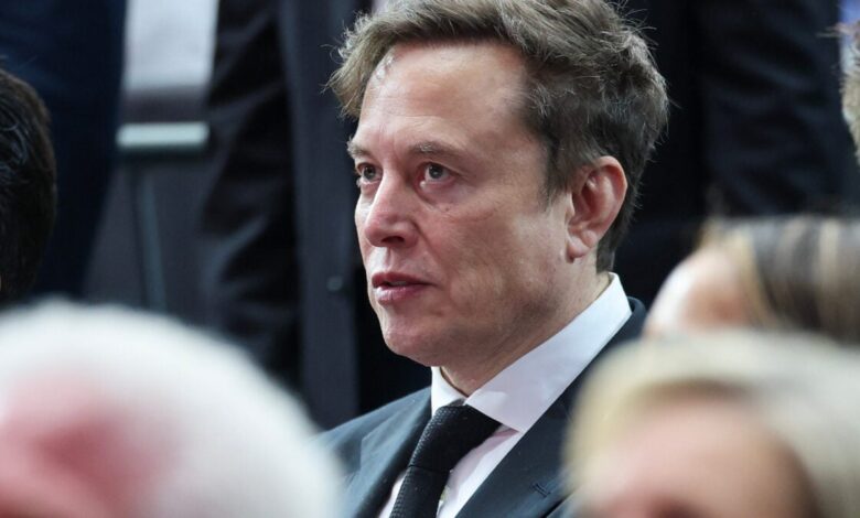 Competidor da Wikipedia de Elon Musk promete desastre na cultura
