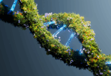 Novo estudo analisa quanto tempo o DNA pode durar