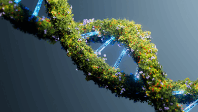 Novo estudo analisa quanto tempo o DNA pode durar