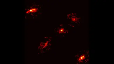 Descoberta em astronomia revela Einstein cross raro com imagem extra