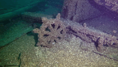 Estudo revela descoberta de navio fantasma após 139 anos
