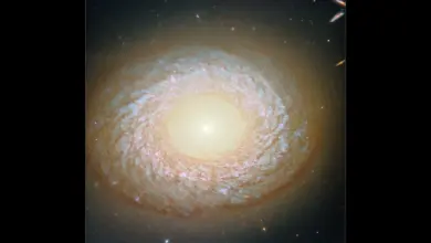 Hubble revela em pesquisa galáxia híbrida enigmática