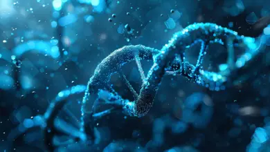 Descoberta de DNA gigante sugere relação com câncer, diz pesquisa