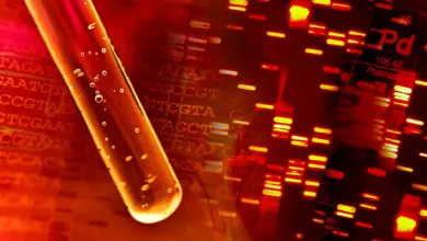 Estudo identifica mesotelioma oculto com exame de sangue