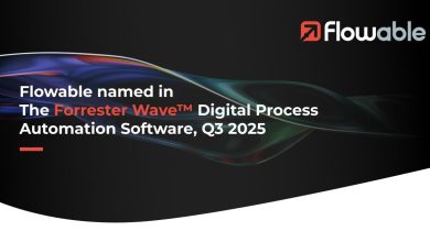 Flowable redefine gestão de processos digitais e combate ransomware