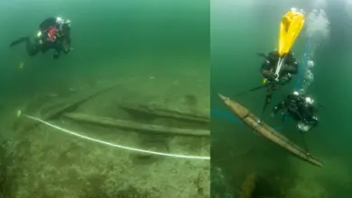 Pesquisa revela segredos de nau real afundada há 500 anos