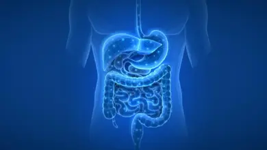 Descoberta revela gatilho oculto de diabetes e doença hepática