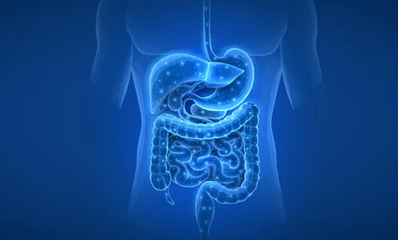 Descoberta revela gatilho oculto de diabetes e doença hepática