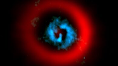 Cientistas registram nascimento de planeta em descoberta inédita