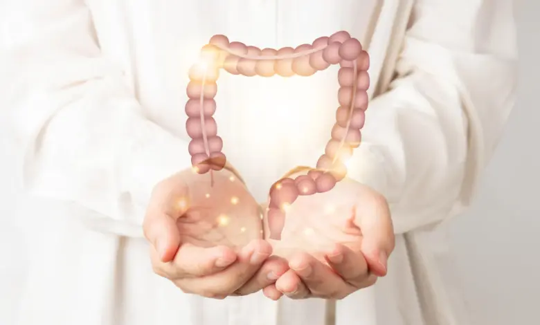 Pesquisa liga tabagismo à alteração de bactérias intestinais