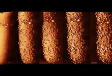 Pesquisa mostra como antibióticos destroem defesas bacterianas