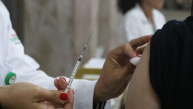 Ministério da Saúde recomenda vacina para gestantes