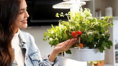 Design sustentável: como plantar suas próprias hortas urbanas