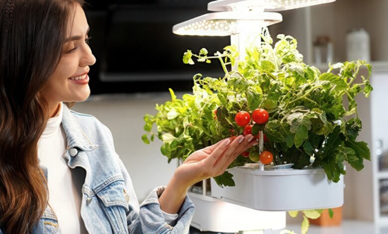 Design sustentável: como plantar suas próprias hortas urbanas