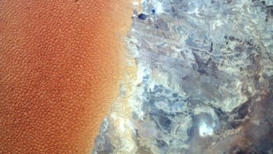 Pesquisa revela dunas estrela no Saara vistas do espaço
